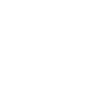 Kevin Petit