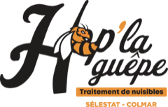 Hop La Guêpe noir